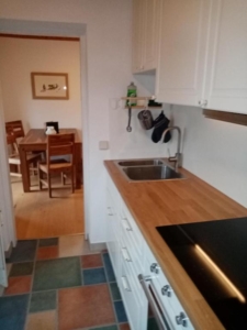 ParterrewohnungKüche2